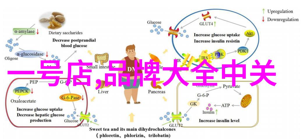 聊天机器人的心理学 人工智能语音设计的心理原则