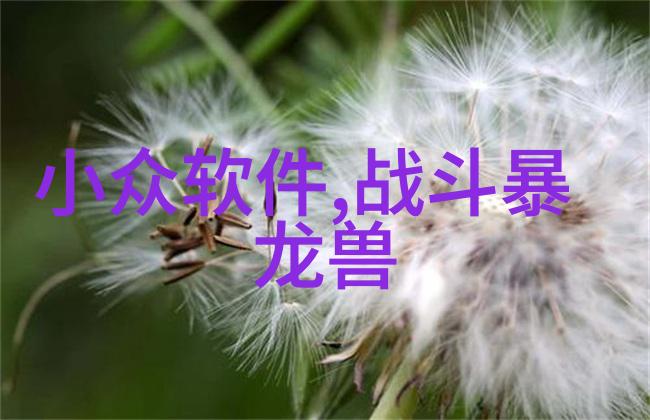 绿色家居的选择太阳能热水器的安装与维护技巧