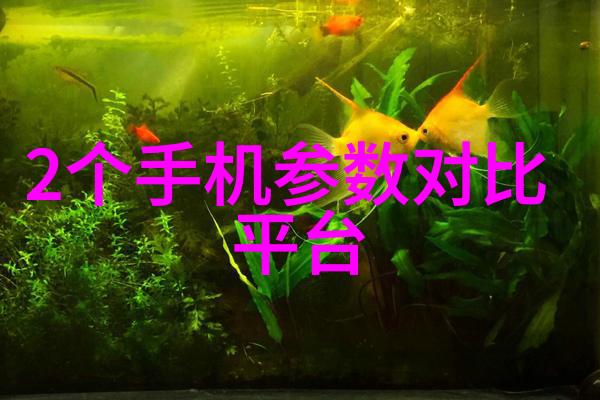 数码之家增压花洒的智能化与节能潜力探究