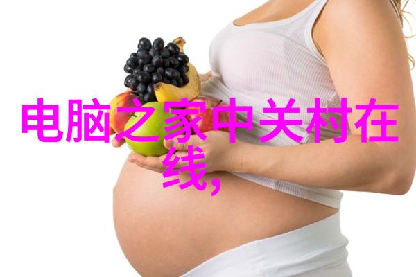 数字梦想家居网络的无限可能