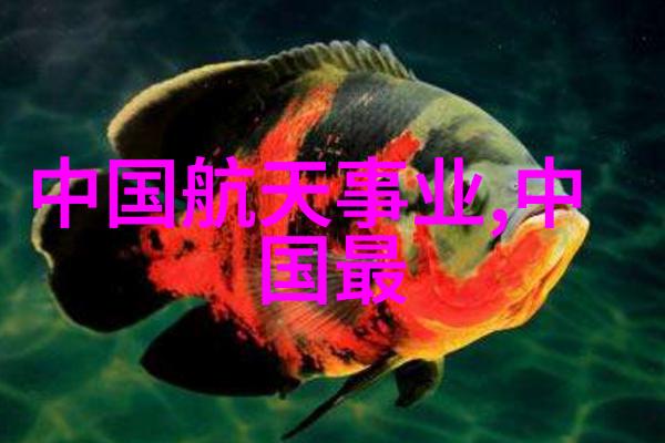 红玫瑰花语深情绘影浪漫的红玫瑰花语背后的故事