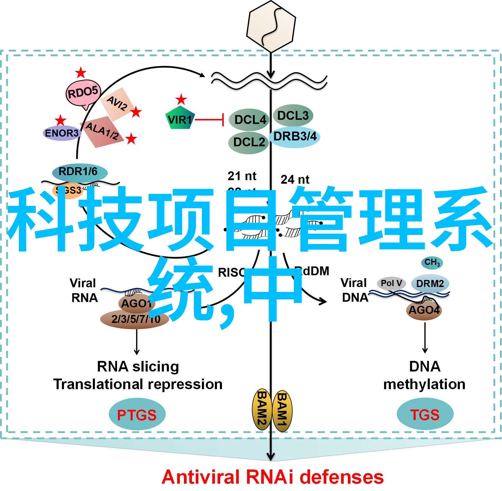 在寒冷的冬日里制冷设备厂的机器们能否永不停歇地为我们带来舒适