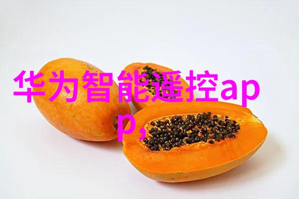 电热蒸汽发生器揭秘分子筛膜沸石膜低温脱水之谜