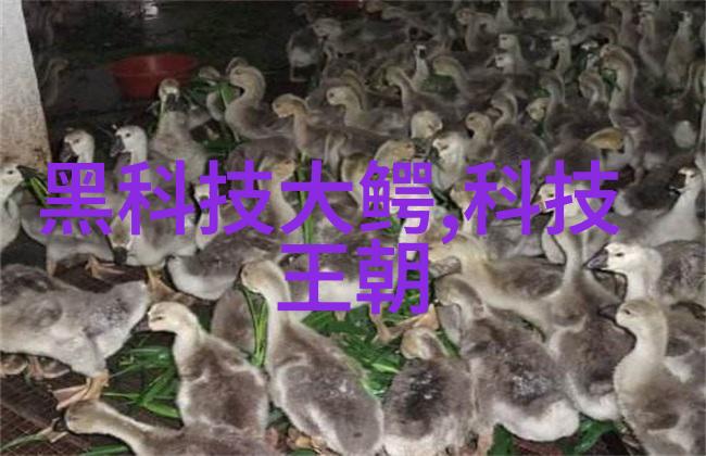 微波炉健康隐患食物加热不当导致营养素破坏