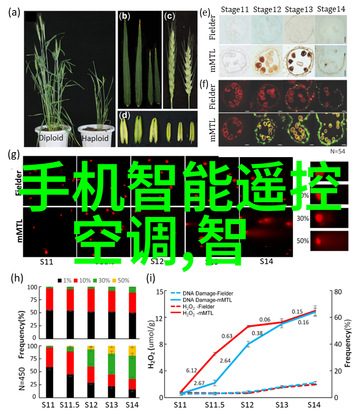 人工智能的范围你想知道AI能做啥从聊天机器人到自动驾驶这里都有