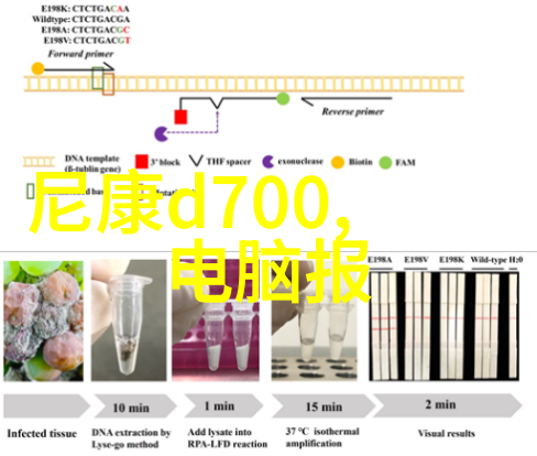 新式客厅装修风格探究现代生活需求与室内空间设计的融合