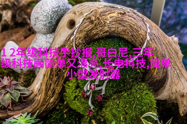 广西南宁：18米婚纱秀街头