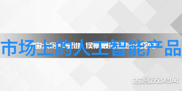 2023年度述职报告个人学术成就与未来展望