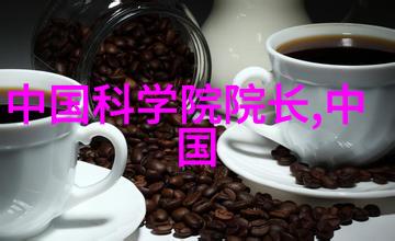 兔宝宝可爱的小兔子