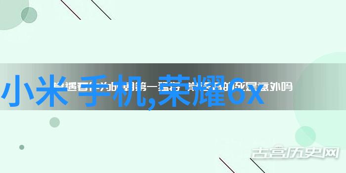 老太太的温柔夏日