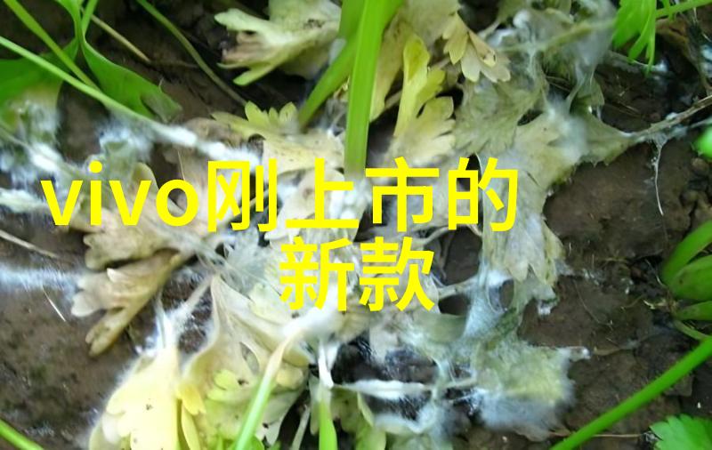 智能助手狂欢最热门的手机机器人app推荐