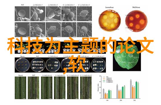 书桌办公室的中心舞台