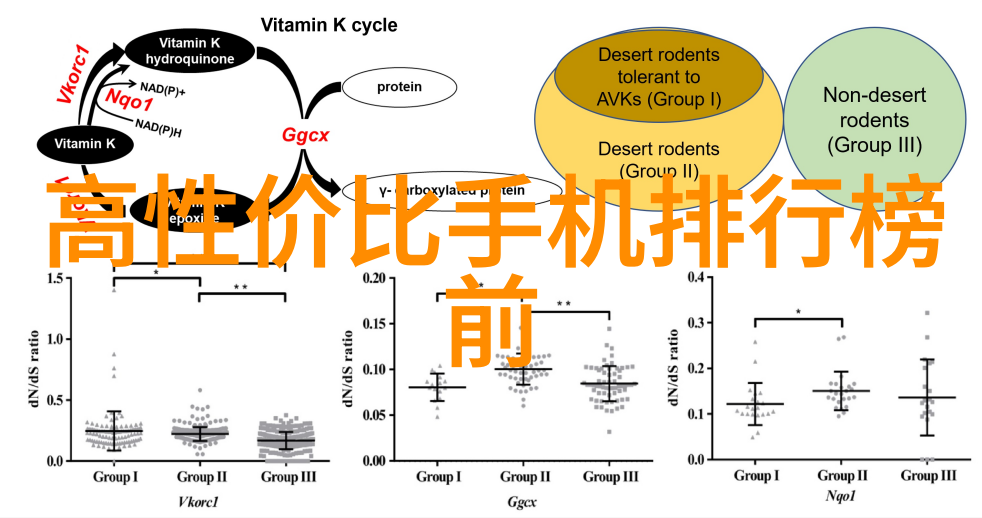 数码科技解析揭秘新时代的数字革命