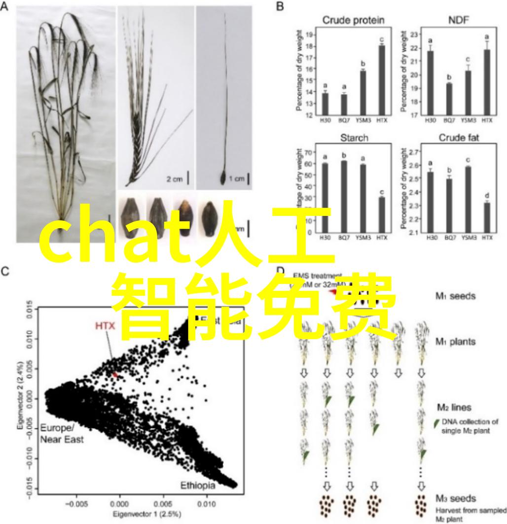 天津搬家公司服务专业快速安全的家居搬迁解决方案