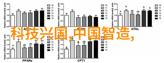 家电智囊团冬日冰箱沉默装修去哪接活的智慧之谜