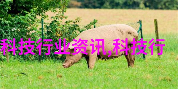 生物印刷技术为医疗行业带来了什么革命性变化