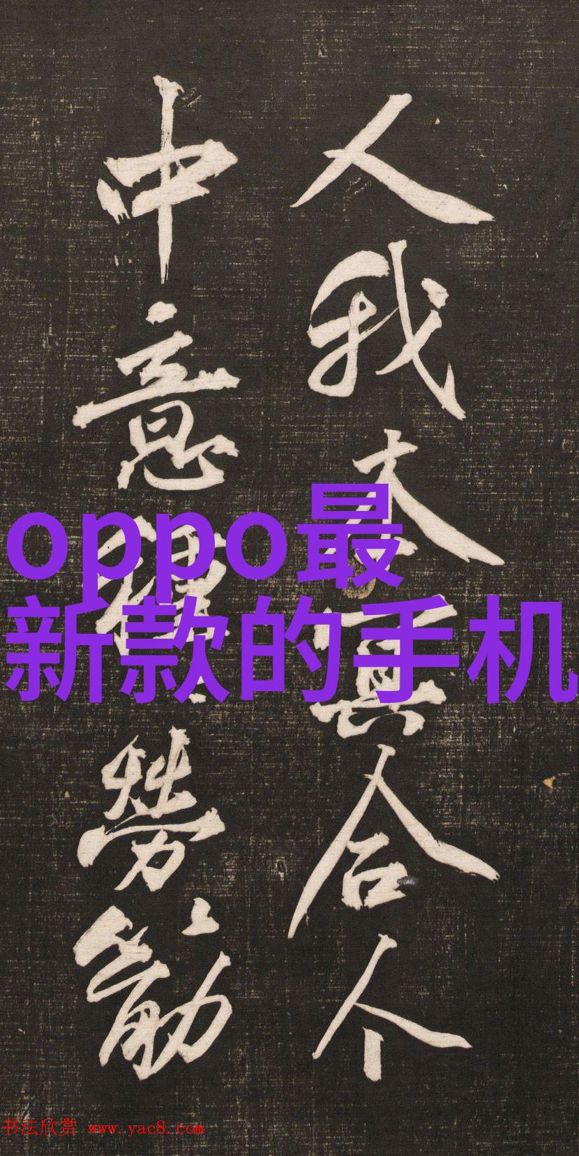 2021年12月最新R语言软件报价发布