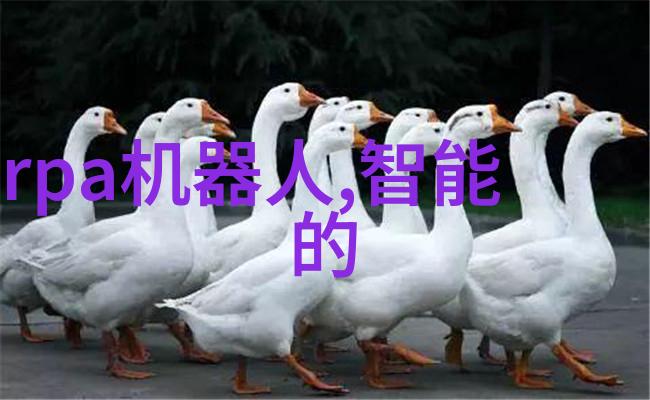 2021年度最佳手机评选荣获科技界最高赞誉的智能终端