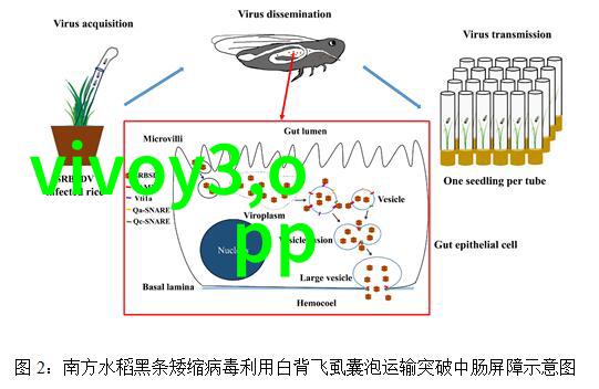 智能生活全览探索智能小家电产品的魅力与多样性