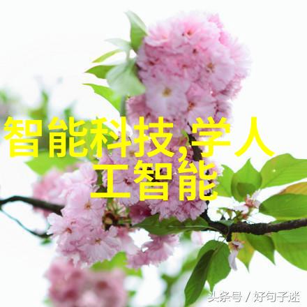 公司安全评估守护数字资产的坚固堡垒