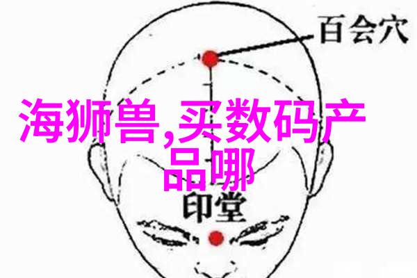 数字图像处理与视频编辑艺术数码后期的创意魔法