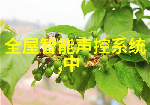 数字防线智能安防监控系统的未来蓝图