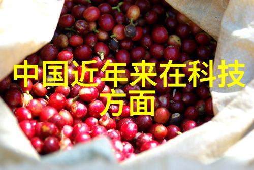 百性阁欧美-探索文化交融百性阁在欧洲的艺术征程