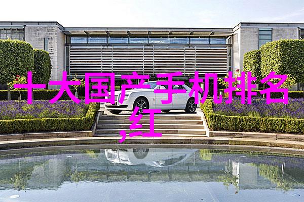 摄影艺术-2022摄影大赛获奖作品展览光影之美的绽放