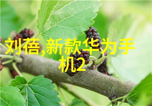 西安财经大学研究生院高水平研究生教育与创新能力培养