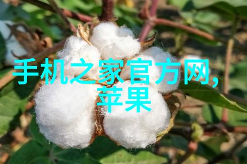 张雪峰人工智能发展张雪峰对人工智能未来趋势的深度解读