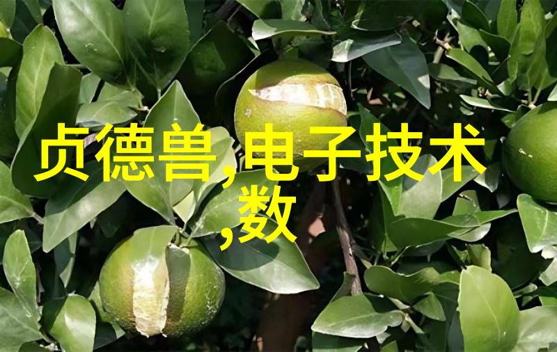 数字森林里的知识之树Zol官网的无限可能