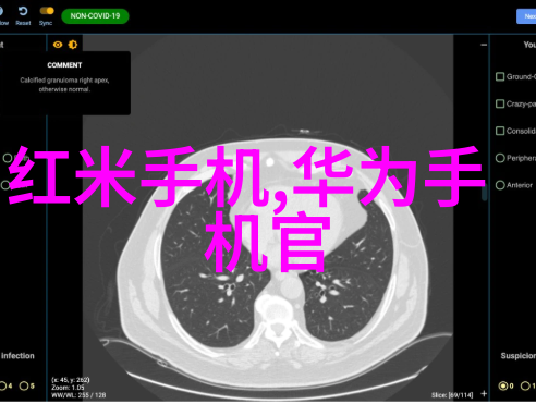 水涌潮涨工程的智慧与自然的和谐