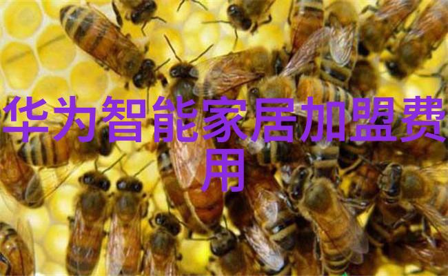 无线高精度温湿度验证探头