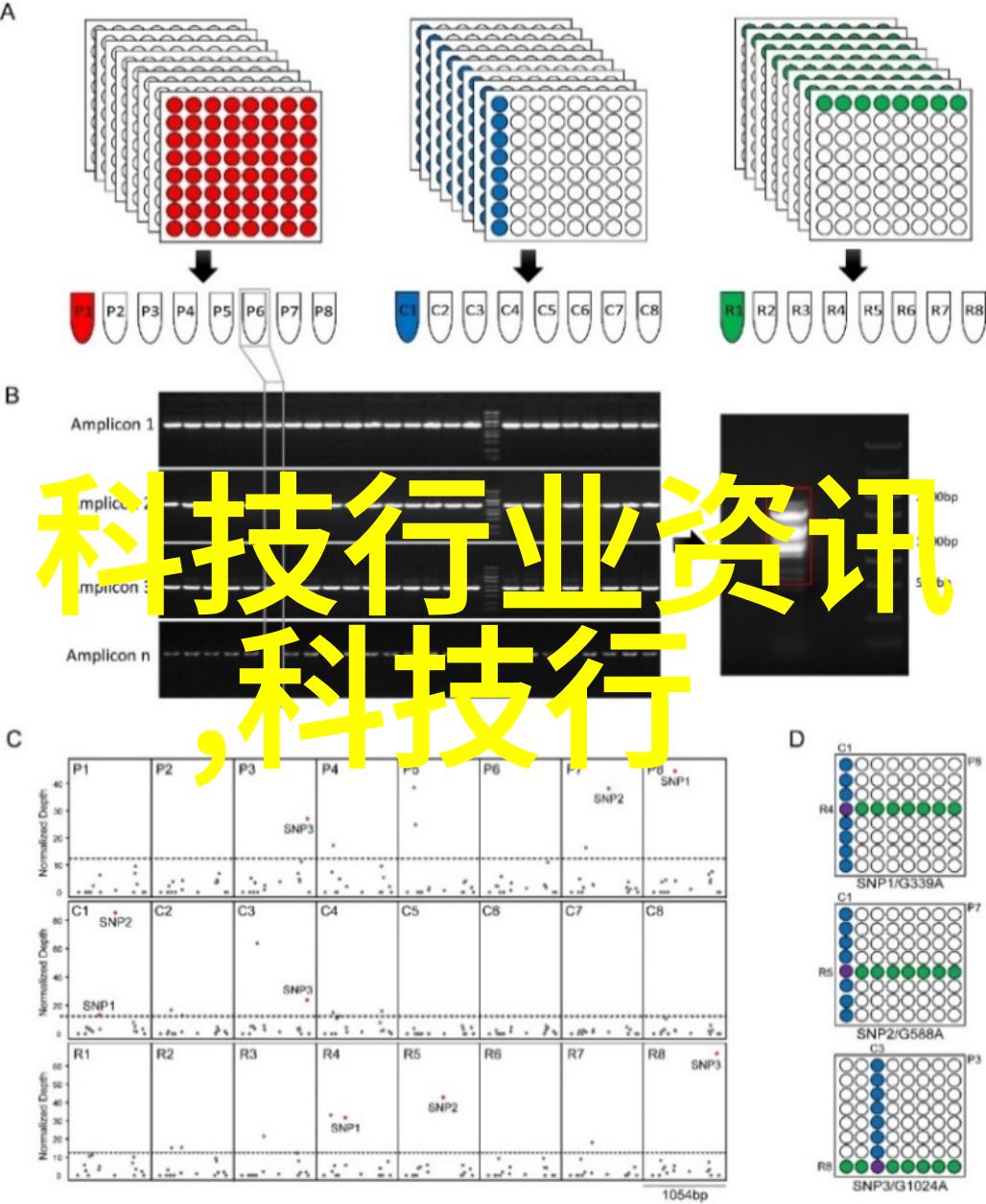 FLUTEC球阀