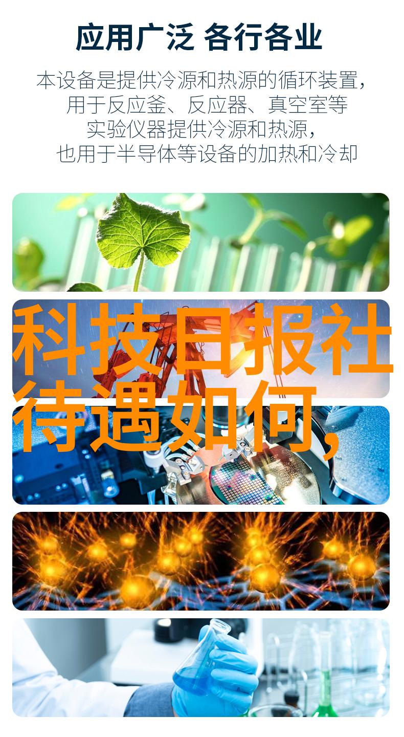 卫生间翻新大作战揭秘重新做的全过程与费用预算