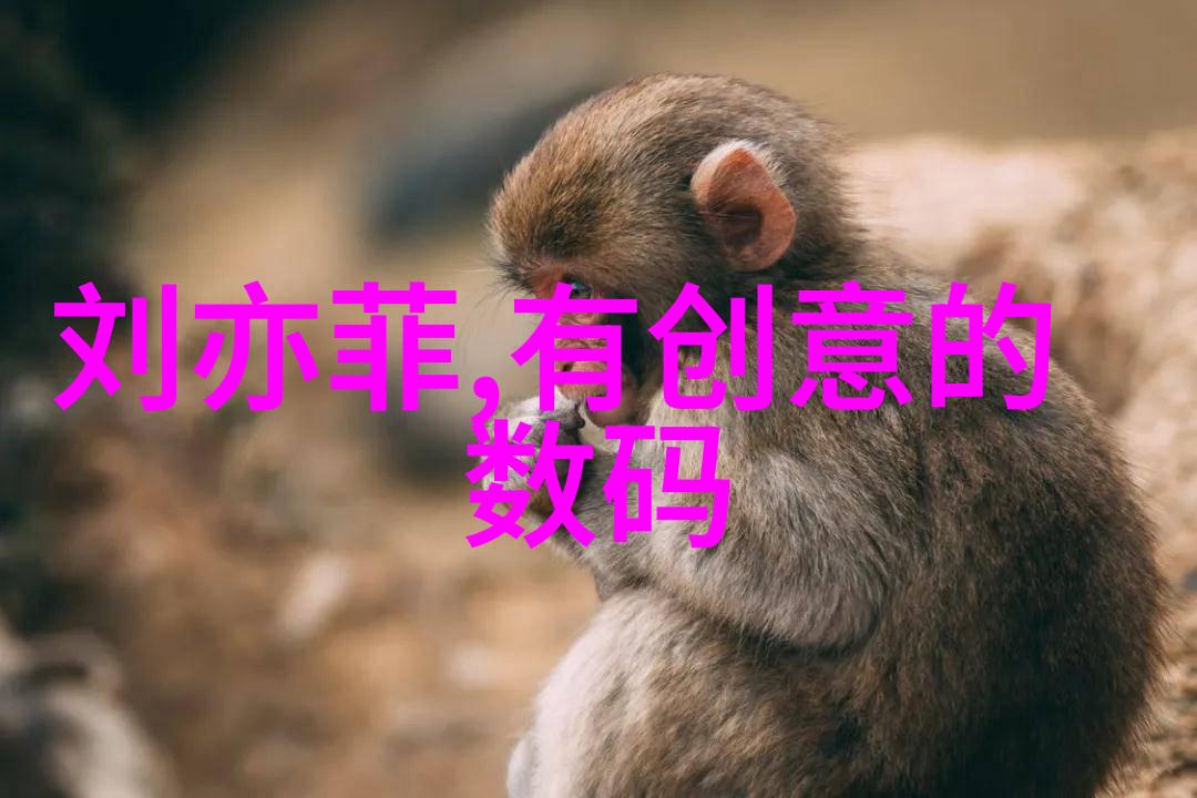 如何通过照片传达情感和故事