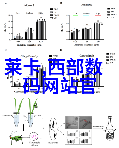 水电工程报价与预算编制指南从成本分析到项目实施的全过程