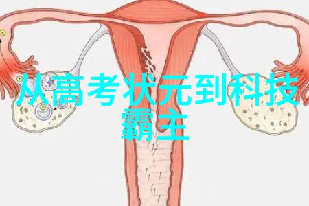 在使用手机时应该选择哪种类型的智能辅导软件比较好用呢