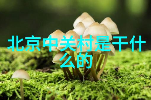 家具的艺术如何通过全屋定制实现个性化生活空间设计