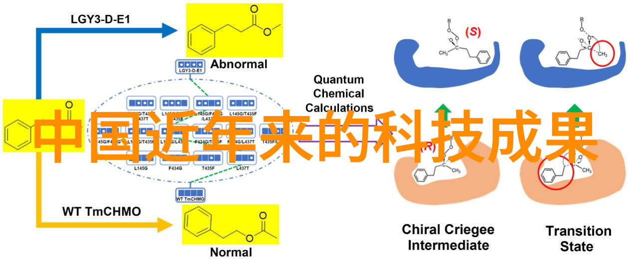 摄影协会的艺术探索