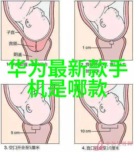 深入探究三相异步电动机型号大全揭秘其基本结构工作原理与独特特性