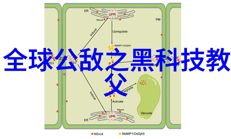 风力发电机设备捕捉风能的高效之谜