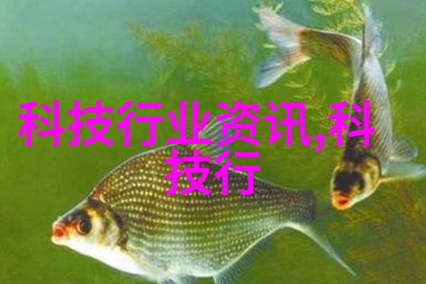 隐秘的材料揭开检测之谜