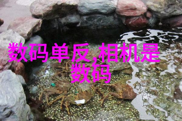 水利水电工程项目管理中女生能否发挥出同样的专业能力