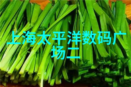 pe料型号之谜解锁聚乙烯在工业中的应用奥秘