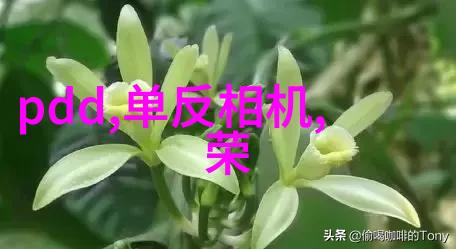 丹徒区食品制药厂设备回收热潮scr反应器结构示意图引领市场走势