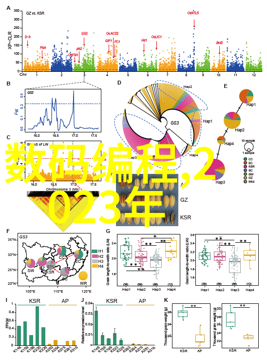 工程技术与水资源管理给水排水系统的重要性和挑战