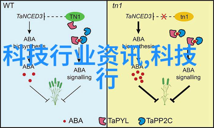 常州工程职业技术学院实践与理论并重的高等教育典范