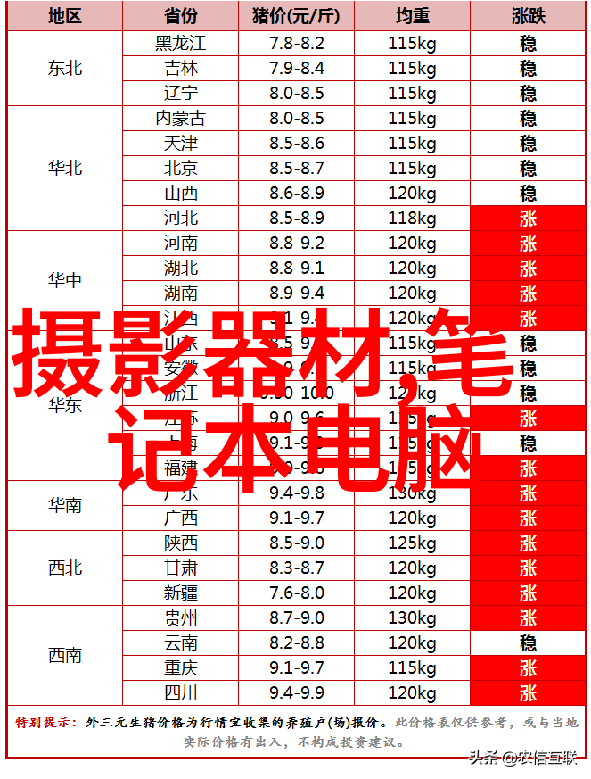 小学生摄影大赛获奖作品-童心相机剖析小学生摄影大赛中获奖作品的创意与技术