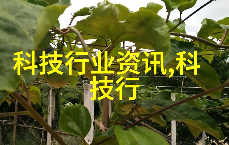 自定义利率SLF调整机制